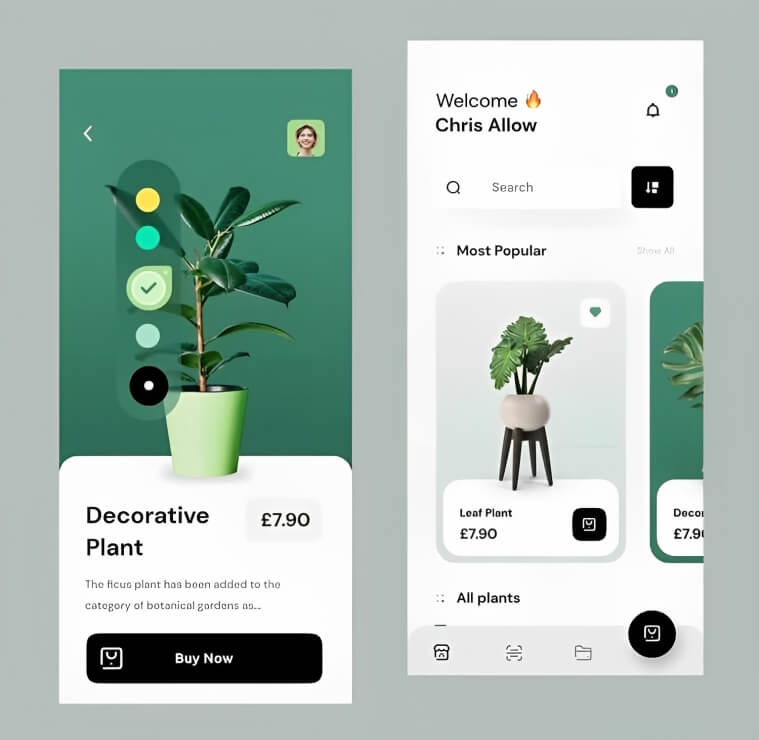 Logo and Design Professional