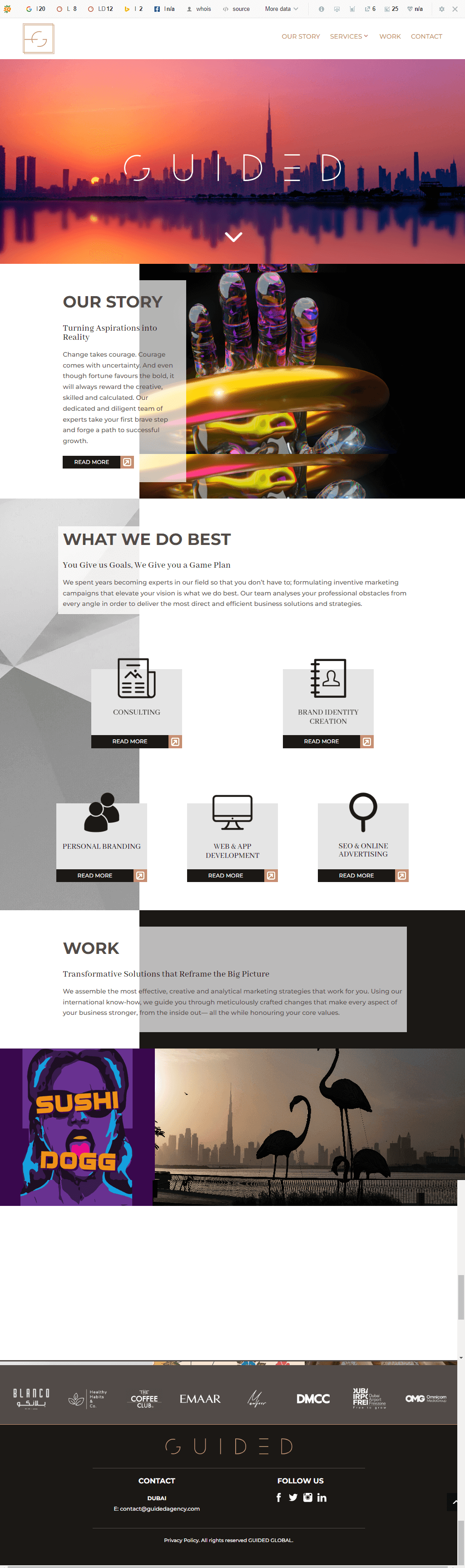 Logo and Design Professional